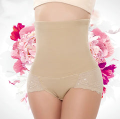 Élan Lace Contour Briefs – Plus Size