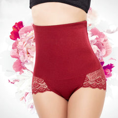Élan Lace Contour Briefs – Plus Size